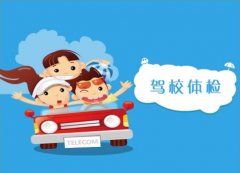 驾驶体检